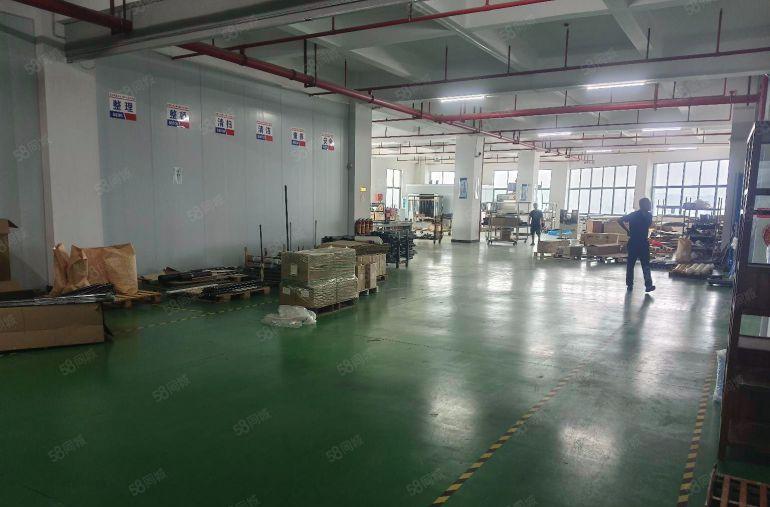 寮步石龙坑标准厂房1000平方出租 带精装修