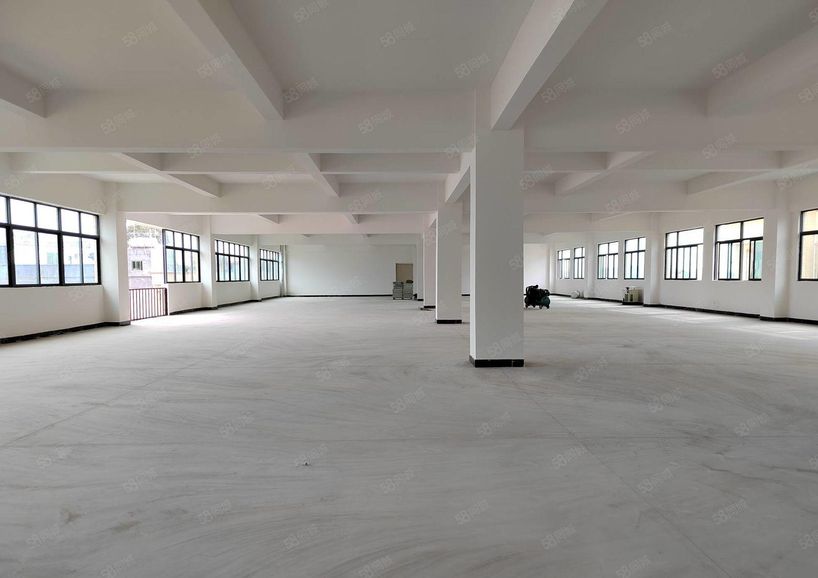 寮步上屯工业厂房一楼 二楼各1580平方 三楼2600平方