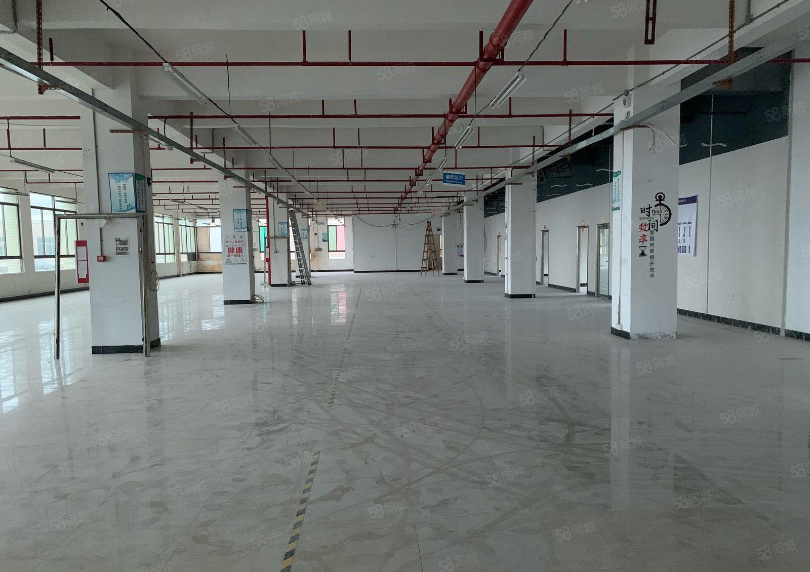 寮步近松湖独院厂房1300平米研发级办公生产出租