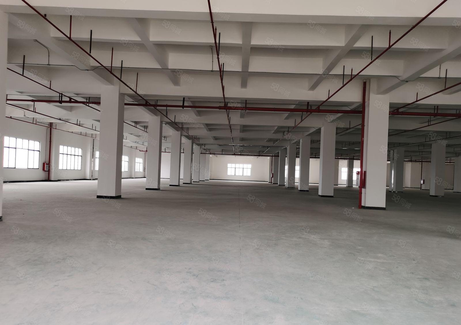 寮步镇靠近松山湖原房东20000平方花园独门独院厂房招租