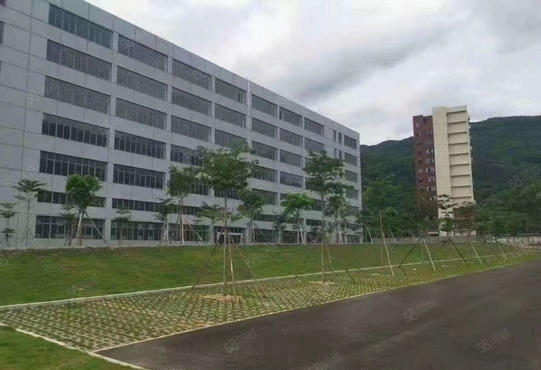 寮步凫山工业区新出一楼2000平出租 现成行车 水电齐全