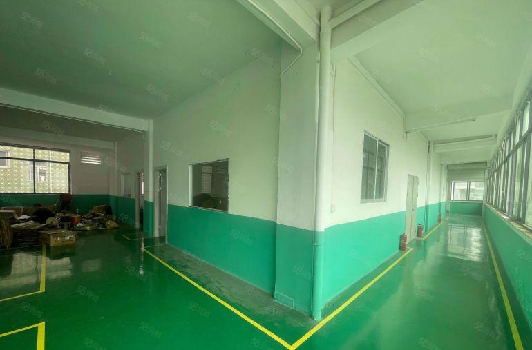 寮步新出楼上800  全新地坪漆 带装修办公室