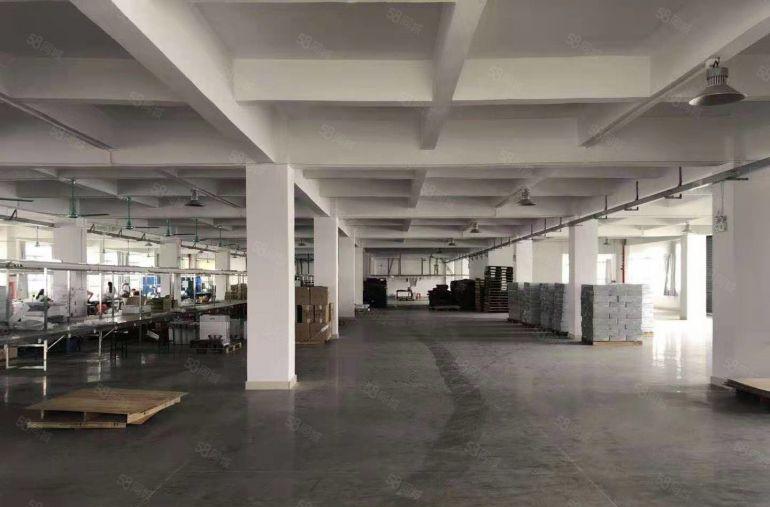 横坑 新出 独院厂房 6000方 花园式 空地大