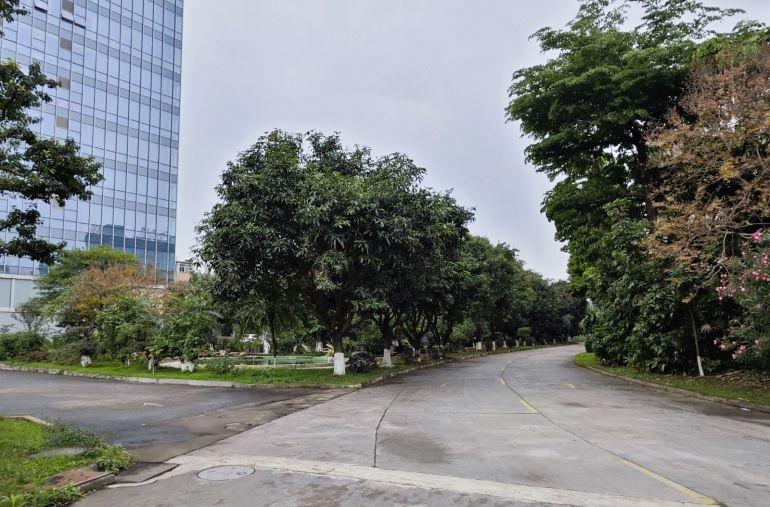 寮步上屯带现成办公室装修厂房出租