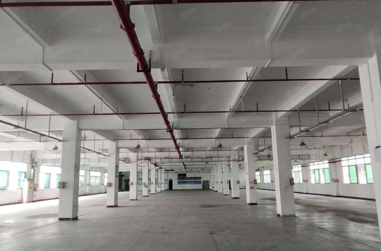 寮步华南城独门独院11300平方厂房出租一楼高度6米喷淋消防