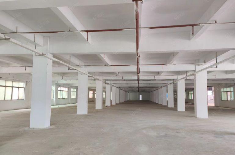 2楼整层3100平，专用3吨货梯。年底特价12.9元每平