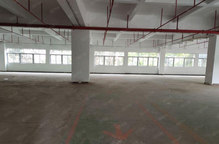 寮步 上底 独院厂房 分租整层2000平方.现成装修