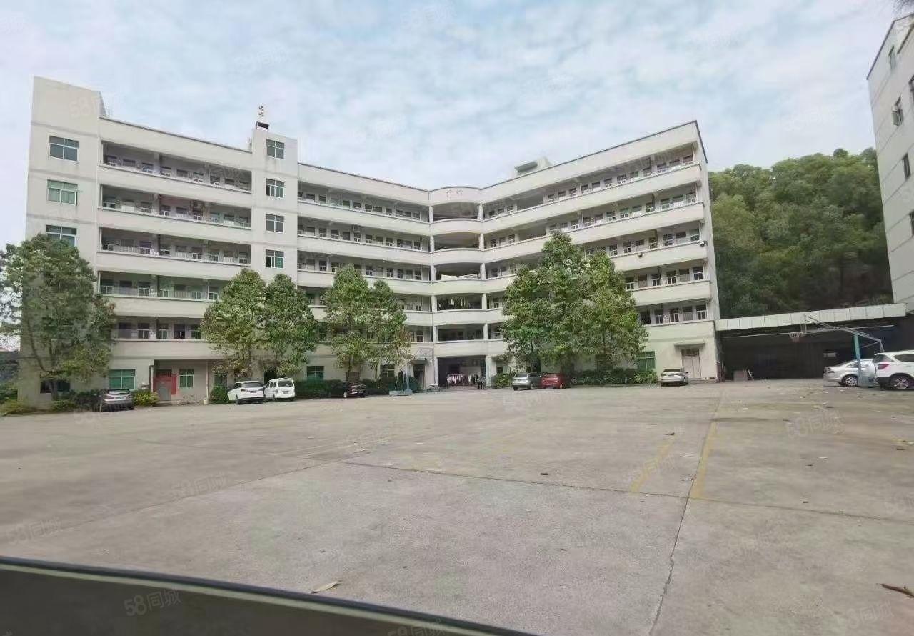 寮步汽车站新出工业园二楼整层1650平带装修水电到位厂房招租