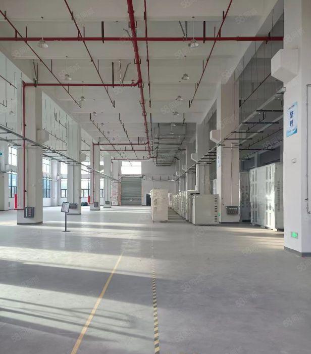 原房东厂房仓库出租 空地大 现成环评 双证齐全可分租