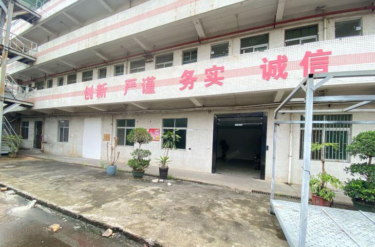 寮步单一层独院 滴水9米 现成装修水电 大马路边 无居民