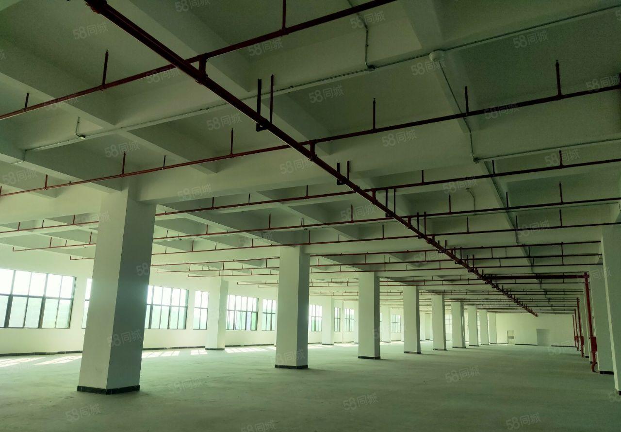 寮镇步原东房国有证双独门院独厂房9万平方招租可分成两套独院