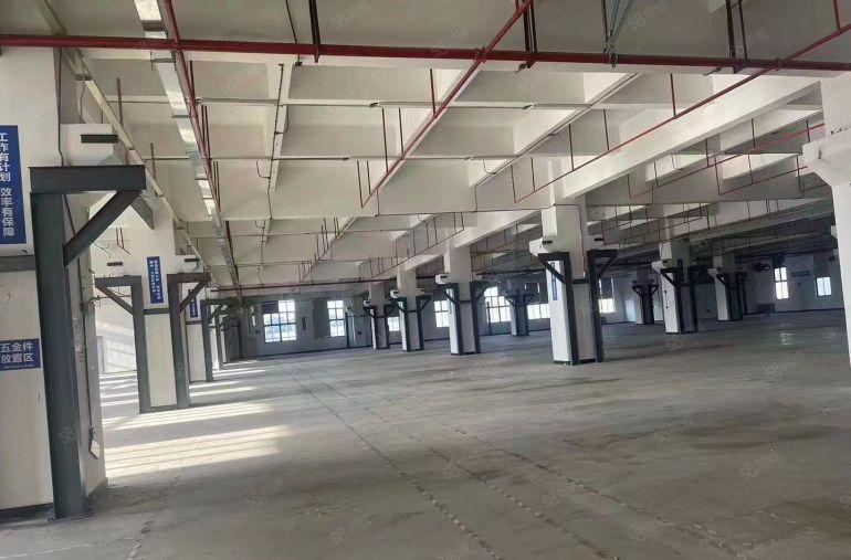 寮步 西溪 自用厂房出租 一楼1000平方,无公摊面积