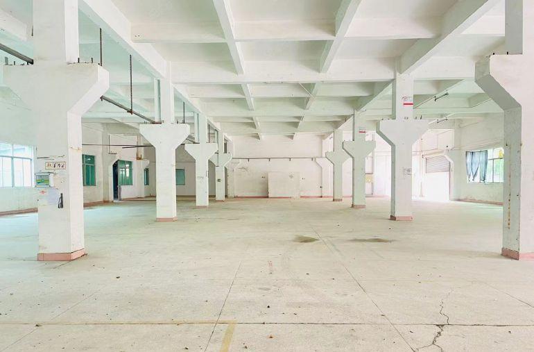 东莞寮步独门独院6米高带牛角可架行车带办公室空地大国道旁