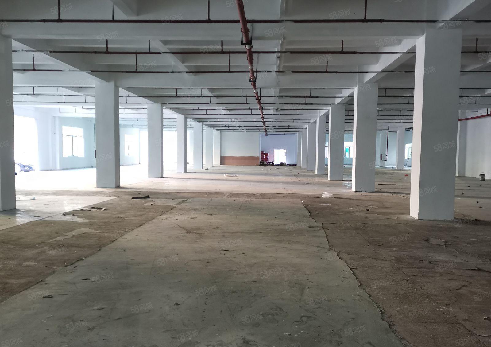 寮步泉塘低价厂房出租精装修交通方便形象好