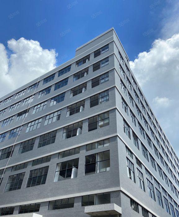 茶山寮步交界独门独院房东直租，全新厂房长度过百