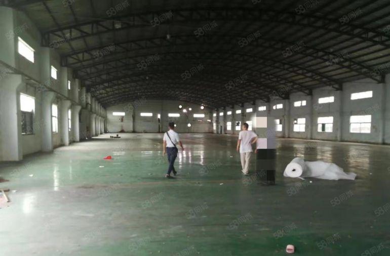 寮步海关单一层钢构出租2000平,带卸货平台,可分租