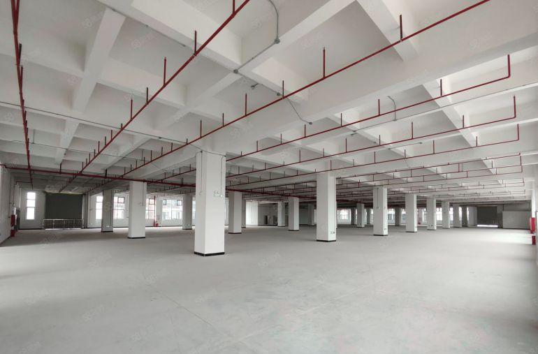 寮步凫山全新54000平方厂房出租1000平起分租靠近莞樟路