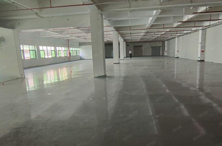 寮步精装修2楼1600平，水电齐全，