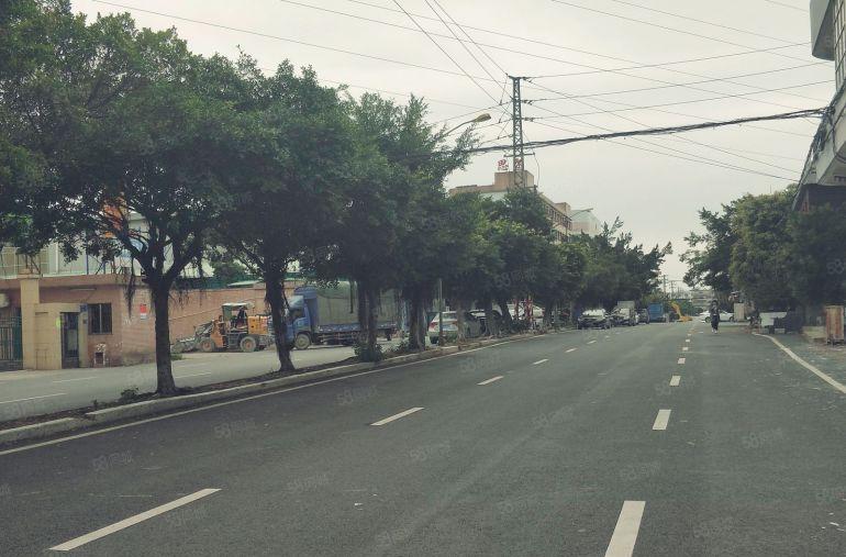 良边 全新 厂房 仓库出租 300平 600平 800平方