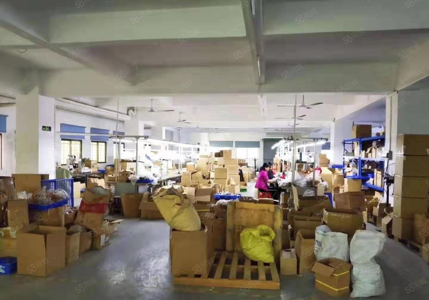 寮东路附近3850平新空出价格26整租