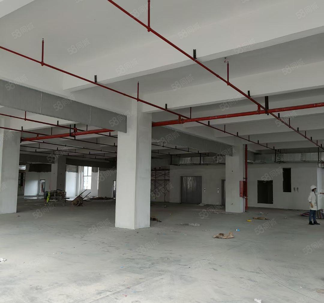 上屯原房东高新重工业厂房停车位超多24000平带红本低价出租