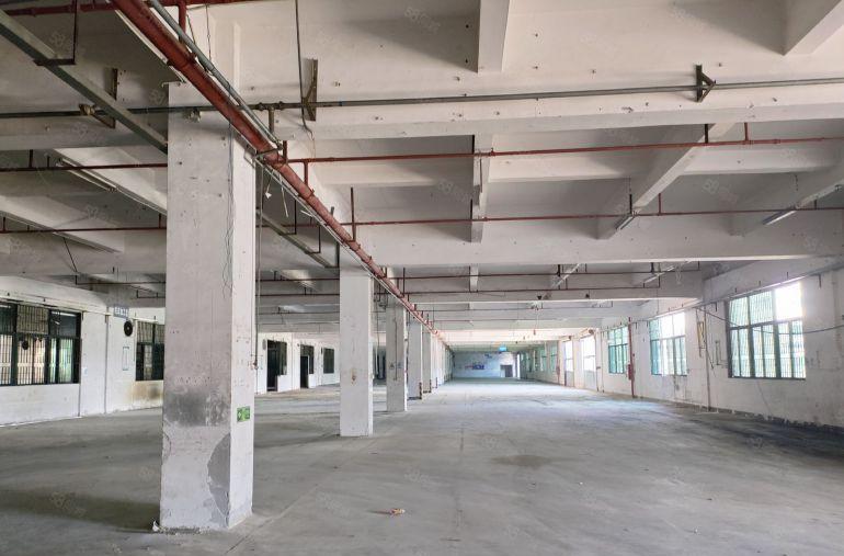 寮步向西新出分租厂房，园区空地大交通方便价格便宜低价租