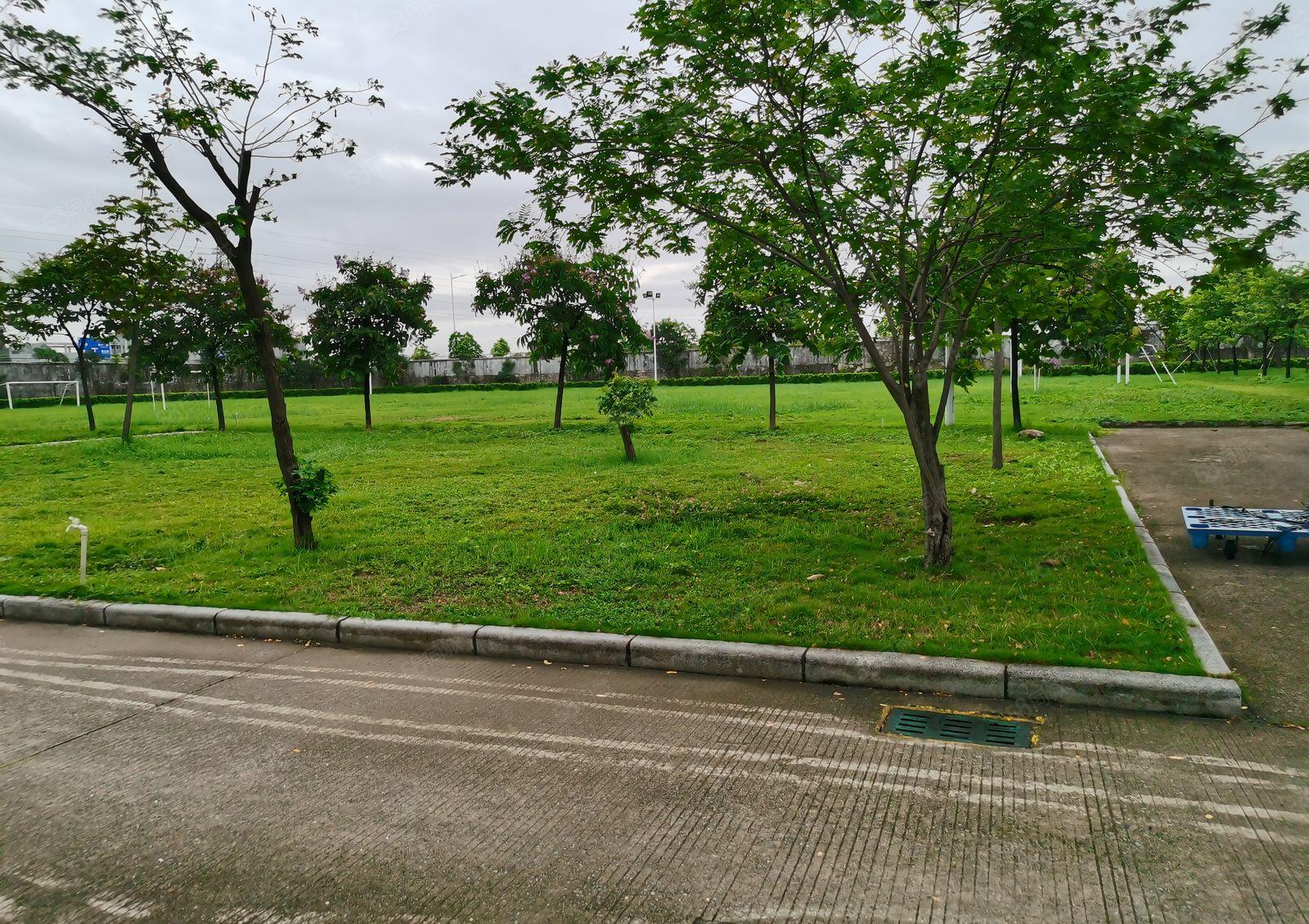 寮步镇靠近松山湖原房红本3.8万独门独院厂房招商