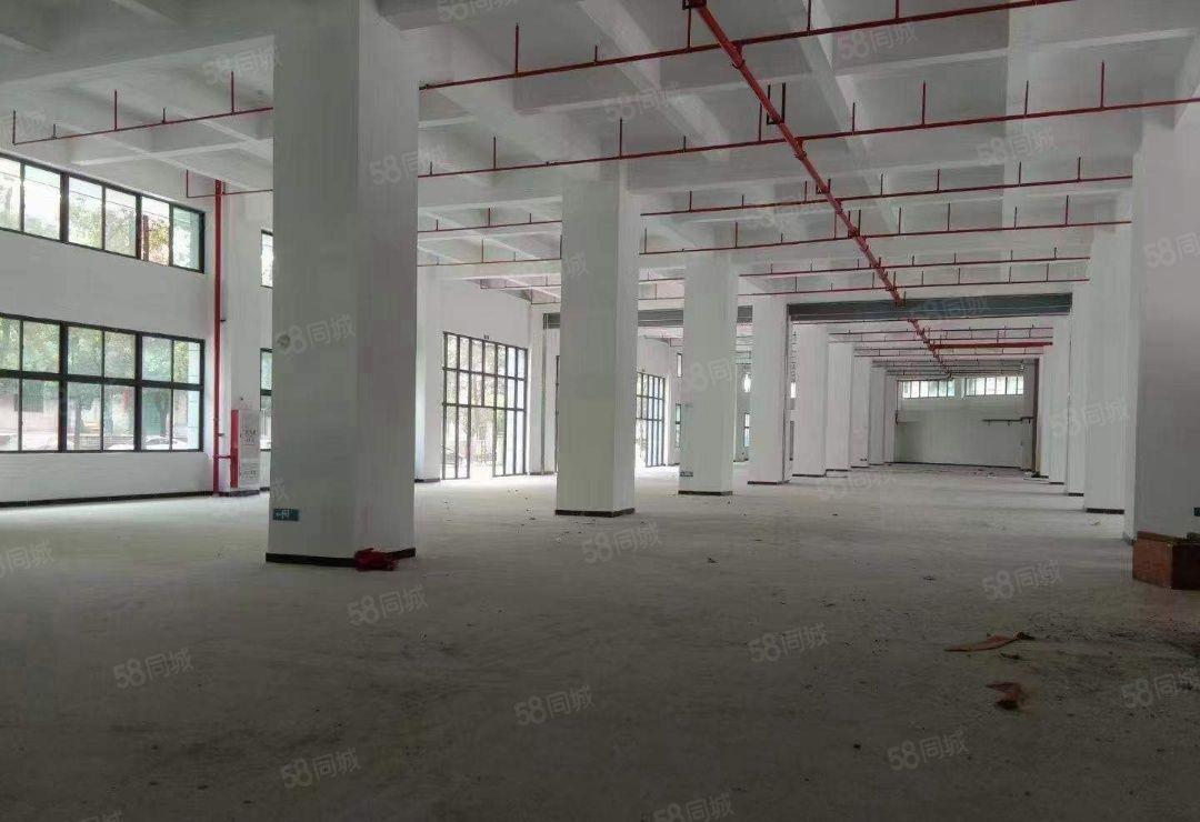 新盘！东莞寮步全新重工业厂房招租，利用率高，配套齐全