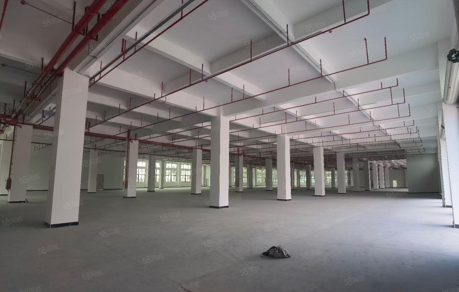 东莞寮步周边镇原房东标准厂房出租，靠近松山湖，总面积约7万方