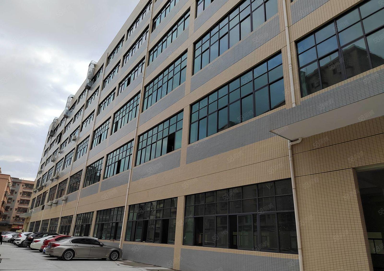 寮步上屯工业厂房一楼 二楼各1580平方 三楼2600平方