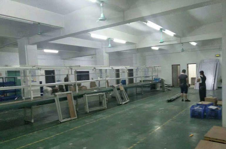 寮步 上底 独院厂房 分租整层2000平方.现成装修