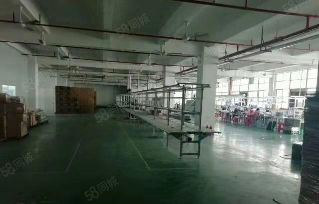 寮步 药勒 全新厂房 共5000平方，10元急租