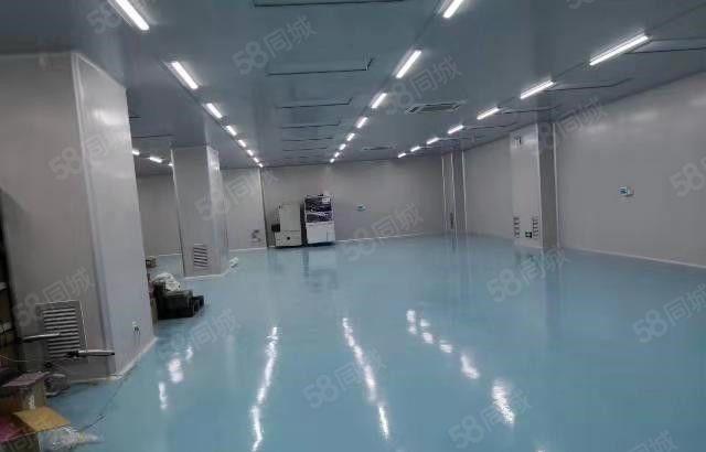 寮步 西溪 自用厂房出租 一楼1000平方,无公摊面积