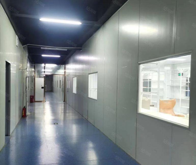 寮步镇药勒新出精装十万级无尘车间带十四部天花空调厂房出租