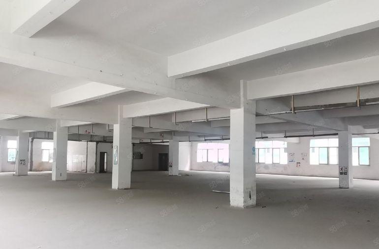 寮步免办环评厂房，随意分租，环评文件齐全，可做污染行业