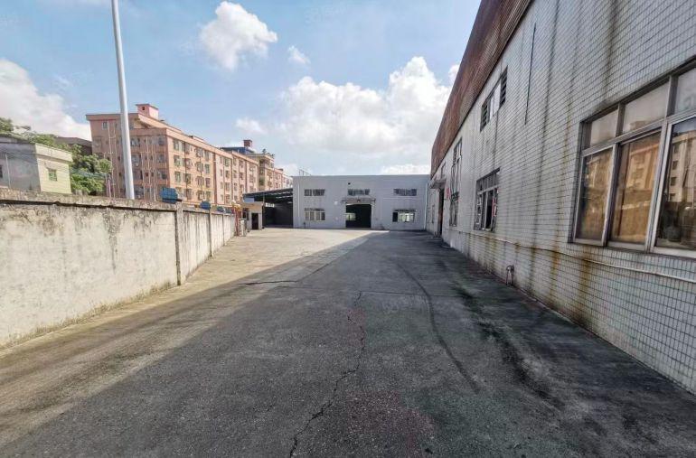 寮步单一层钢构一万五千平