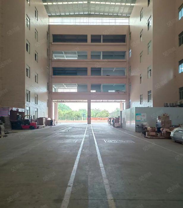 原房东厂房仓库出租 空地大 现成环评 双证齐全可分租