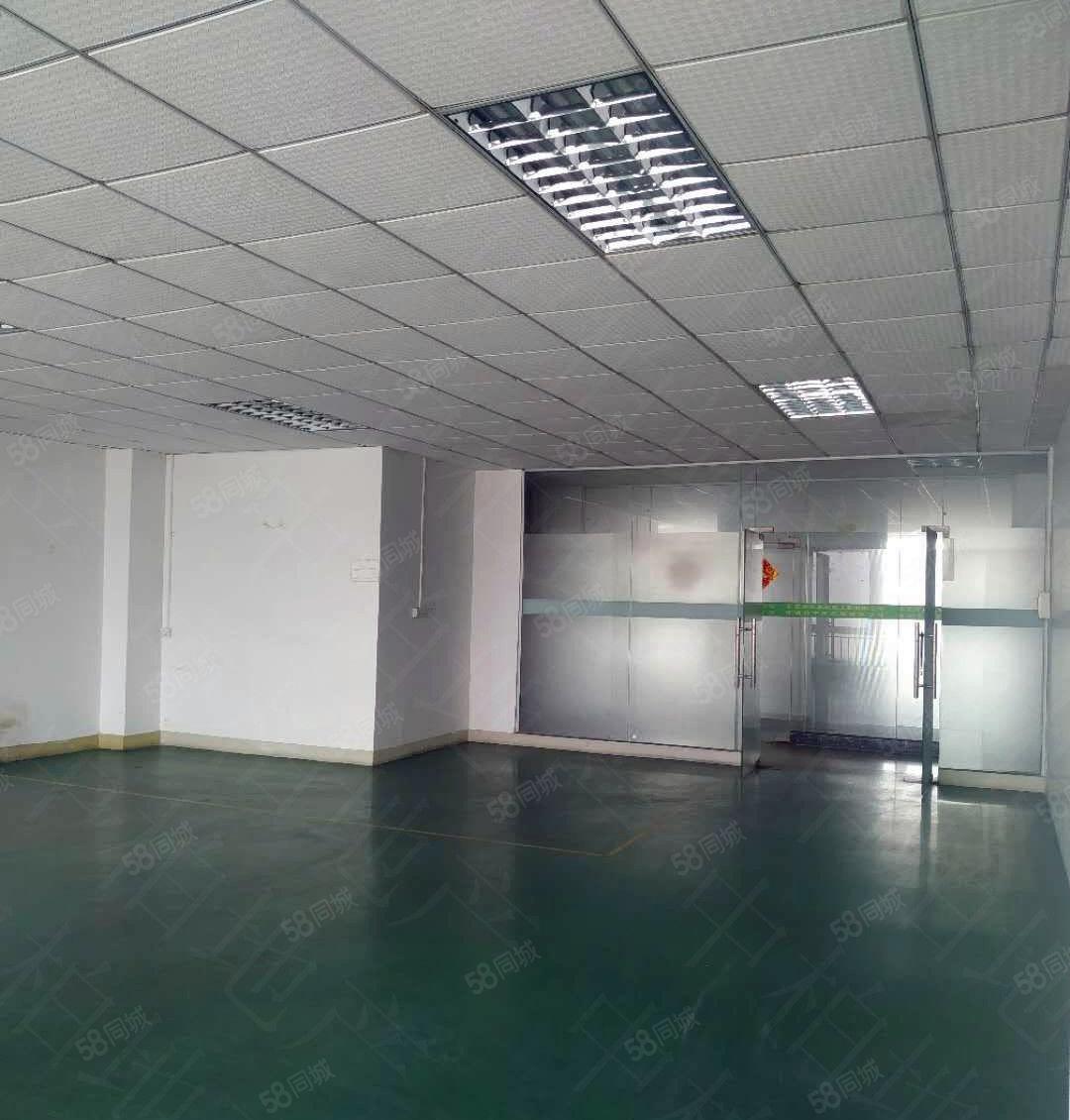 寮步厂房出租石龙坑4300平方厂房招租带地喷漆12元全包！