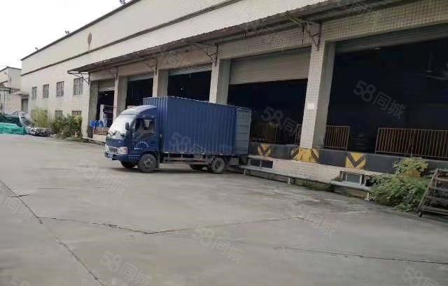 寮步海关单一层钢构出租2000平,带卸货平台,可分租