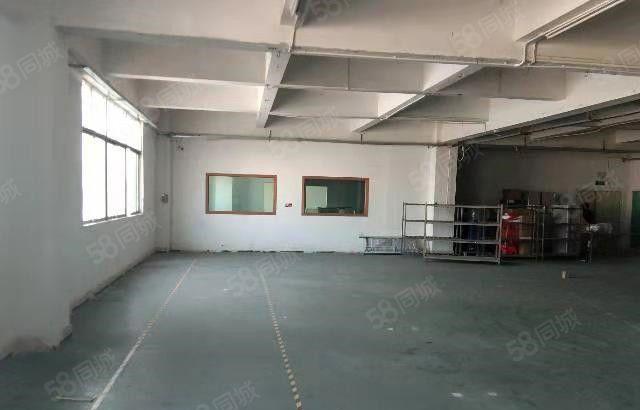 寮步 良边 独院厂房 分租 一楼300平方，价格便宜地段好