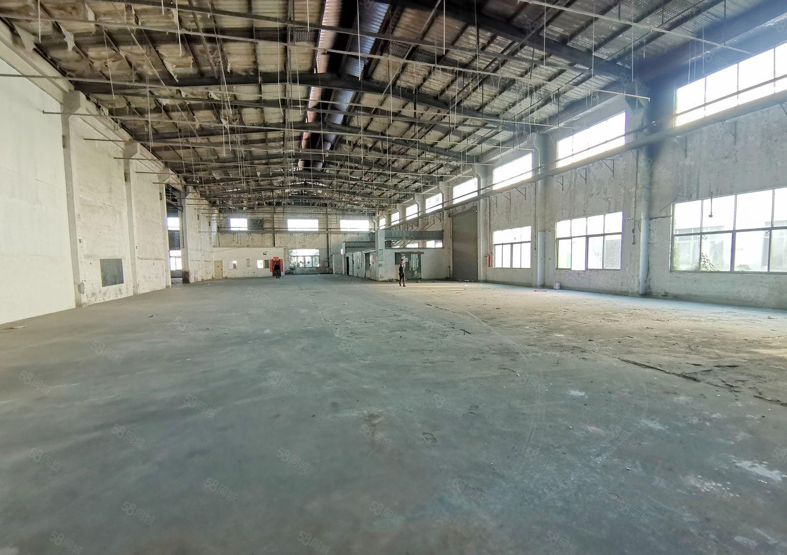 独院单一层9米高厂房仓库招租3300平方米