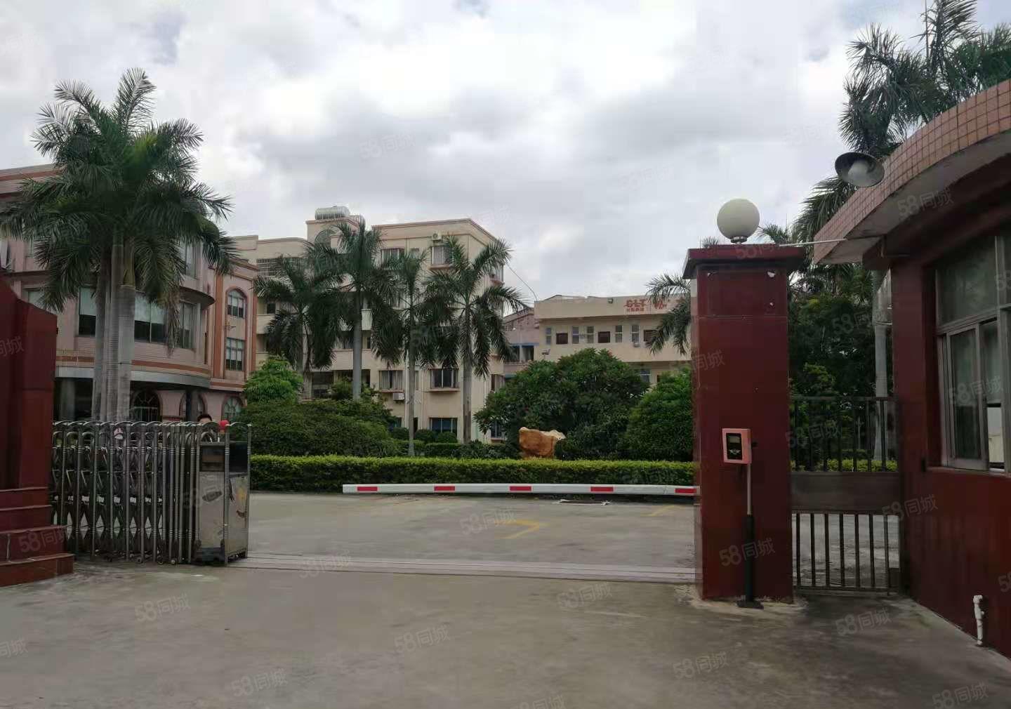 新出花园式厂房 原房东 研发小独院6000平  出租