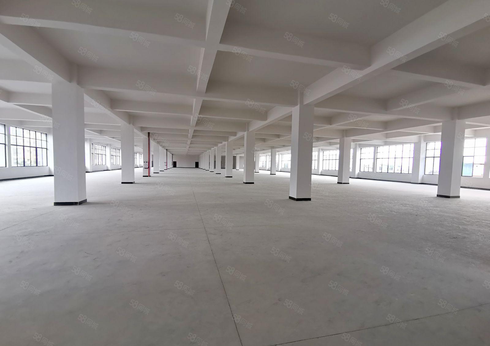 全新厂房出租三楼面积约3200平方米