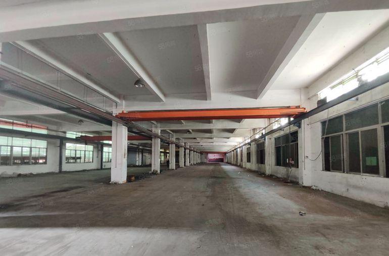 寮步一楼3300平方厂房出租，2台行车免费使用，周边交通便利