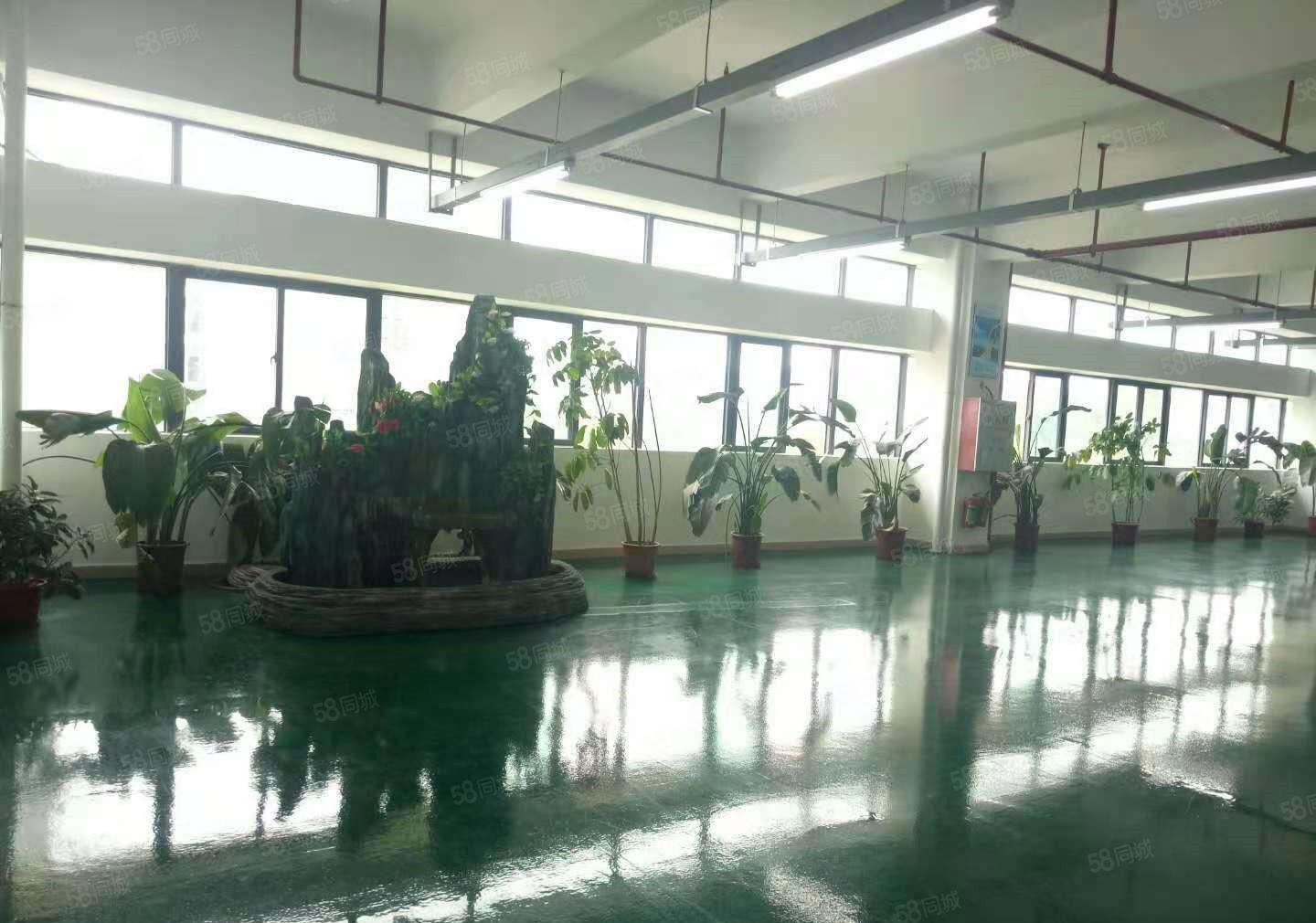 寮步 西溪 大型科技园20万平方,分租8元起，形象好空地大