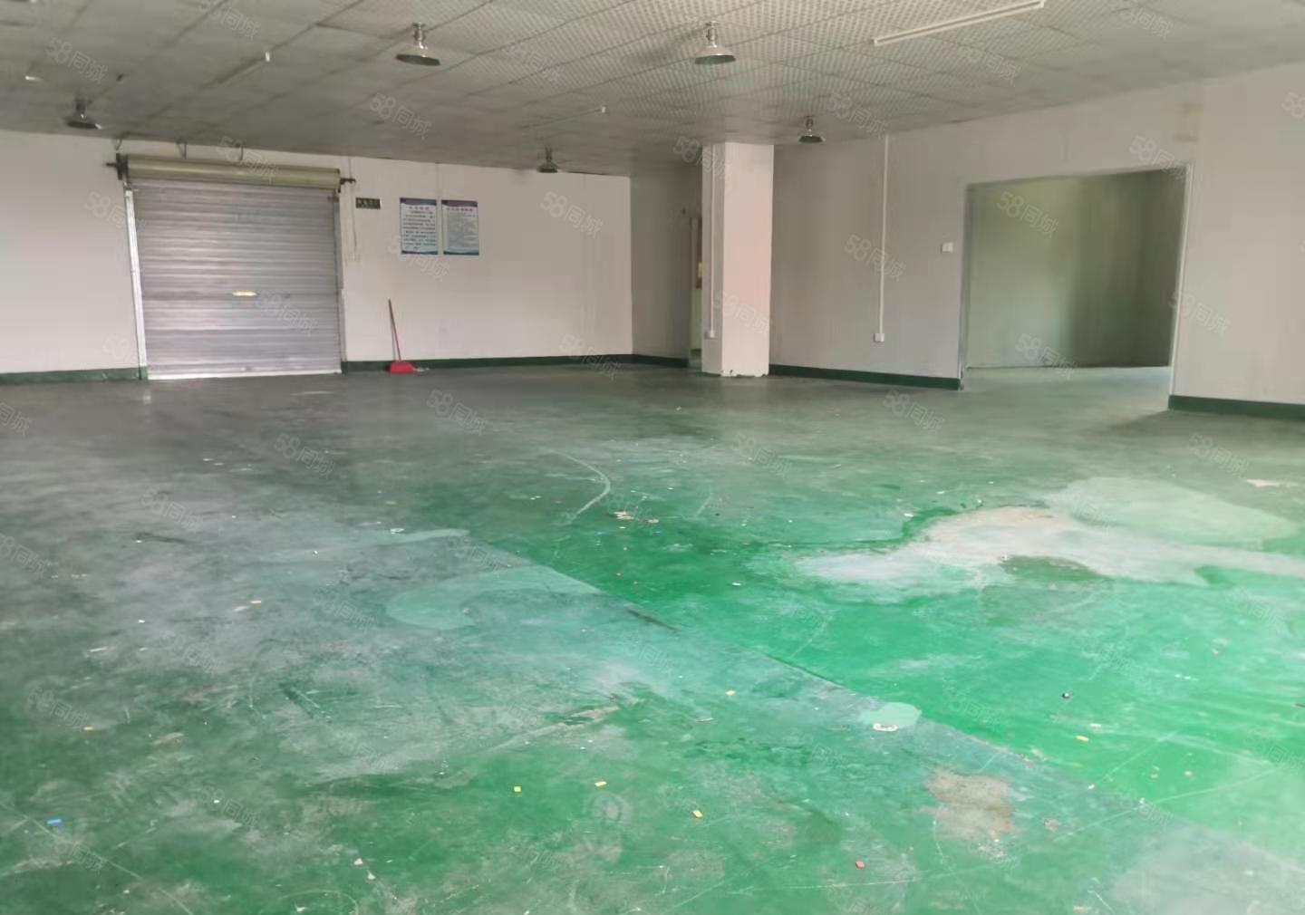 寮步岭夏原房东新出标准厂房500平出租，车间带绿色地坪漆。