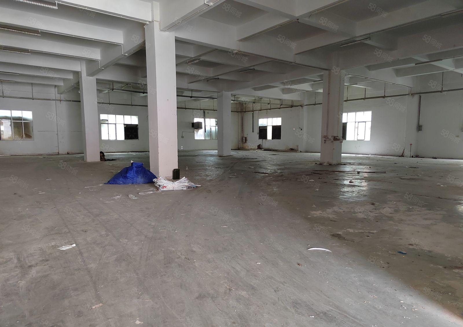 寮步凫山新出独门独院带超大空地，厂房11800平，价格实惠出