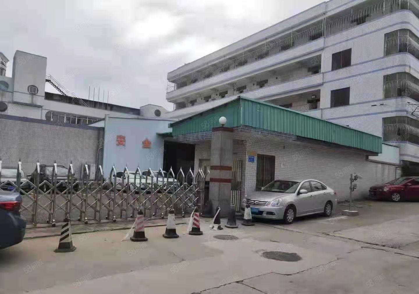 中间无柱子！寮步岭夏原房东独门单一层1500平，带办公室