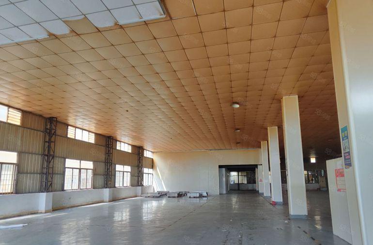 寮步石步原房东单一层独院1550平方厂房出租高7.5米带装修