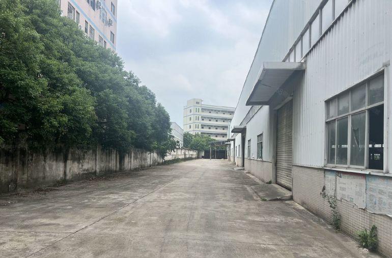 寮步层高13米单一层钢构独院 超大空地厂房